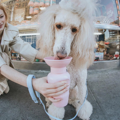 Travel Water Bottle - Cotton Candy