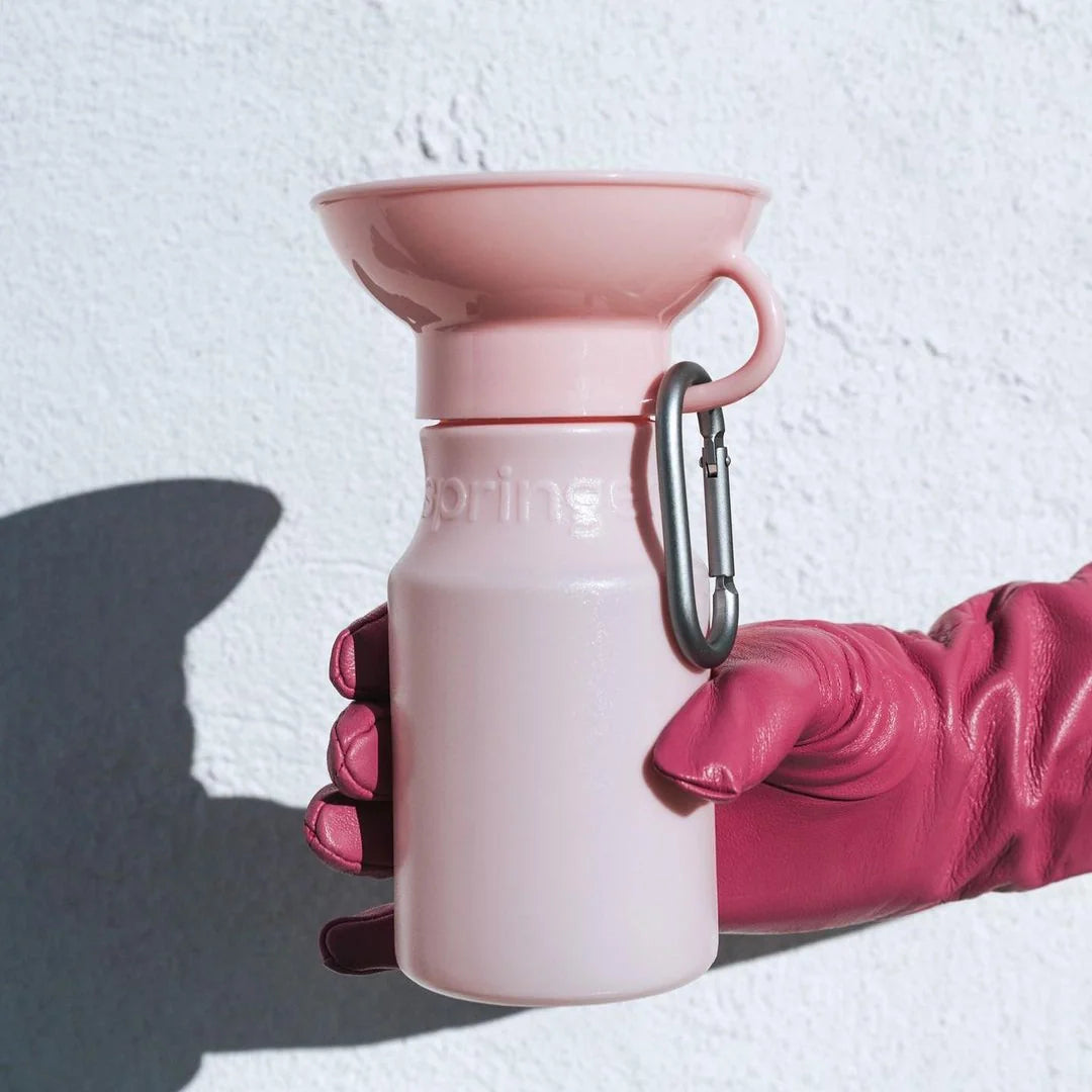Travel Water Bottle - Cotton Candy