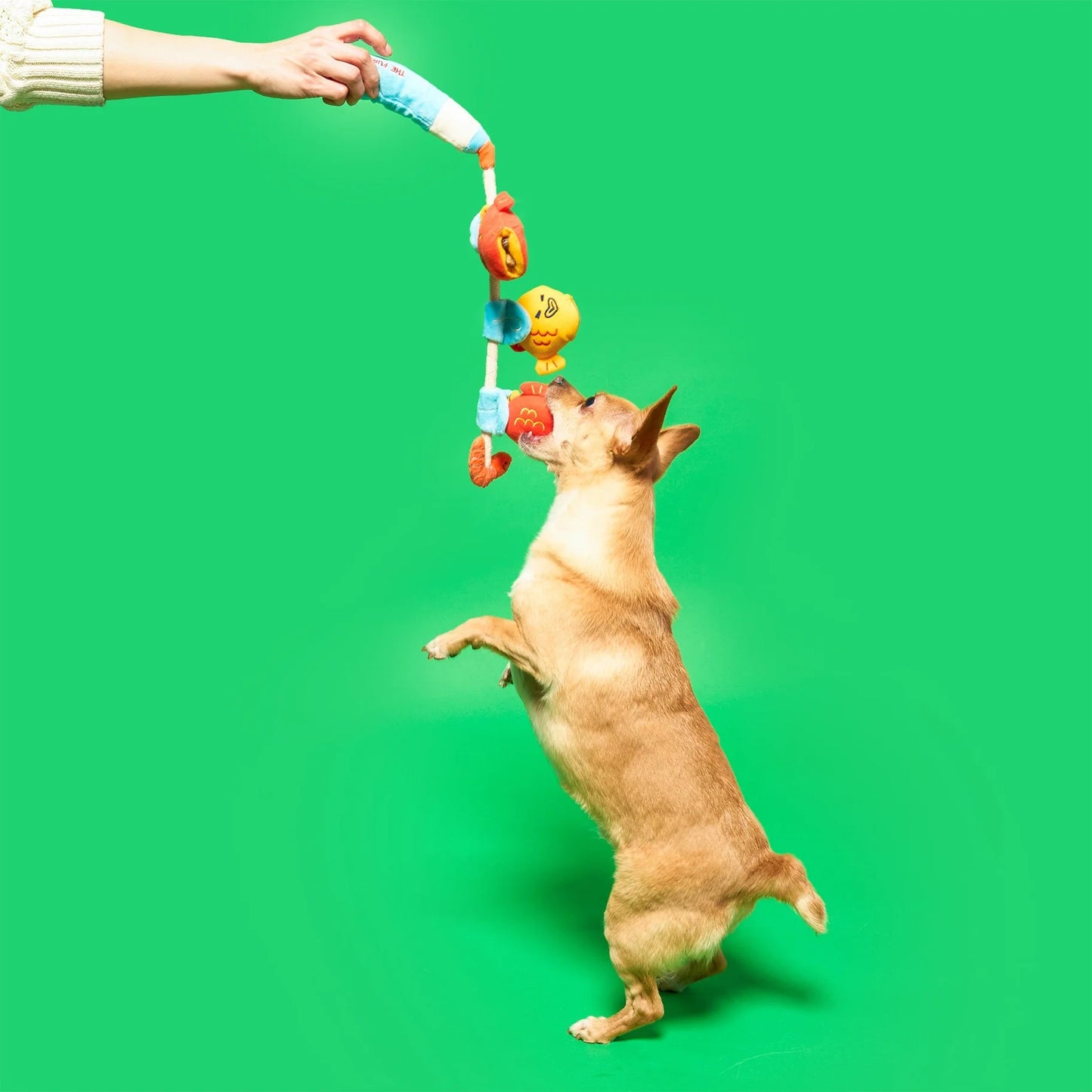 Fishing Nose Work & Tug Toy