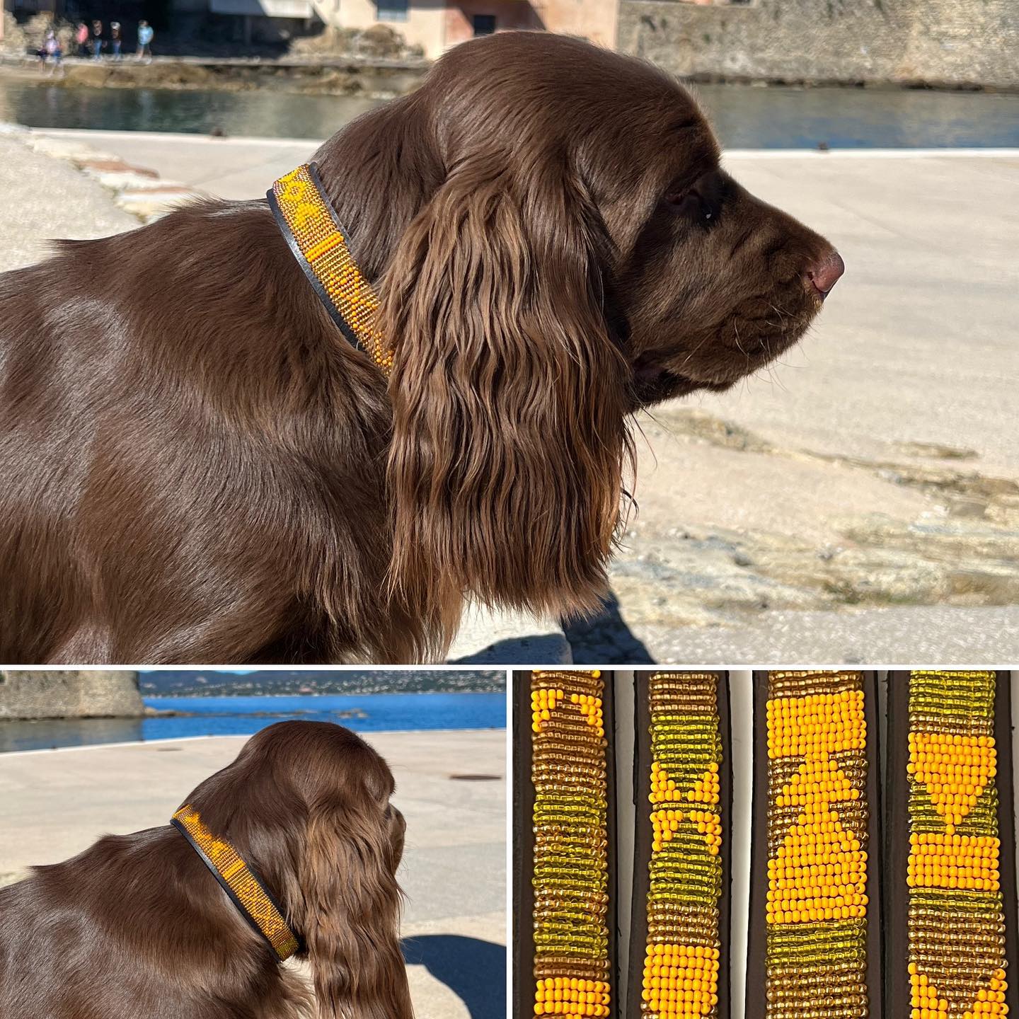 Beaded Dog Collar - Funny