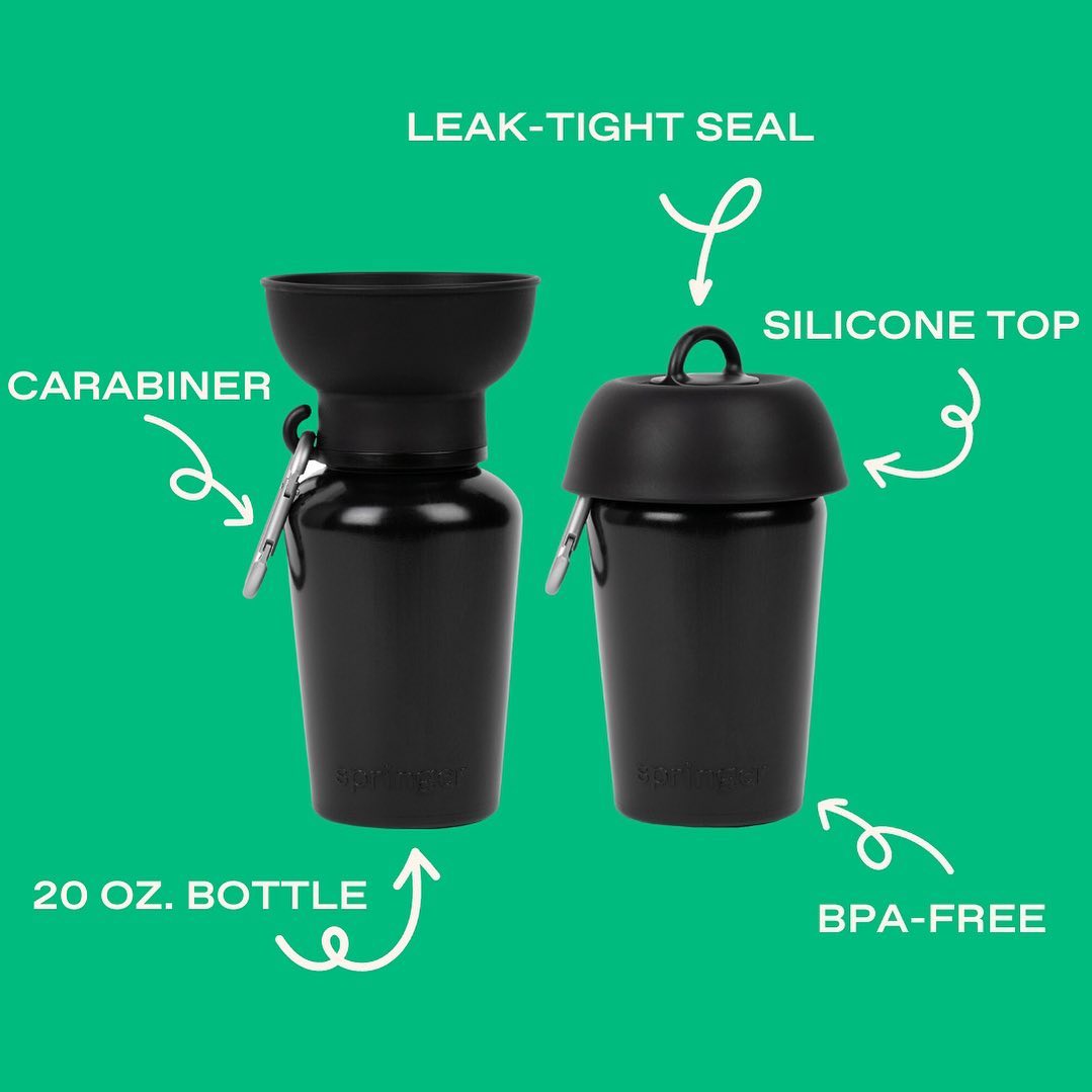 Flip Dog Travel Bottle - Black