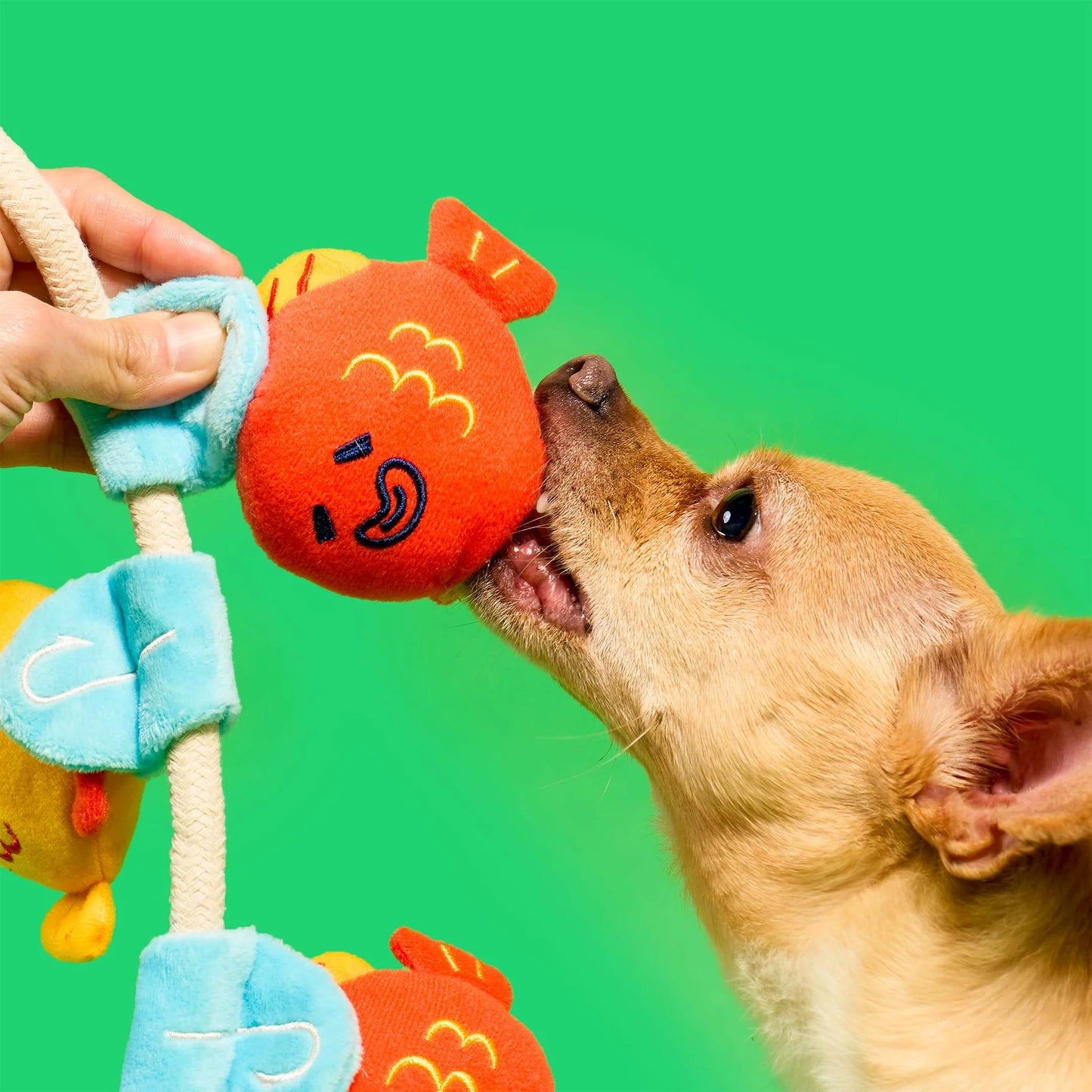 Fishing Nose Work & Tug Toy