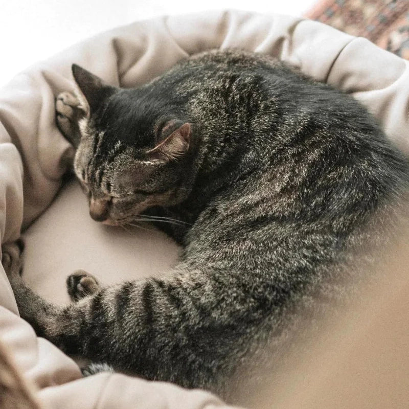 Taart Reversible Donut Bed