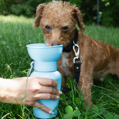 Flip Dog Travel Bottle - Sky Blue