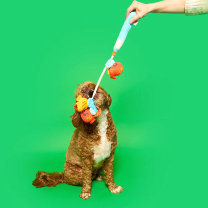 Fishing Nose Work & Tug Toy