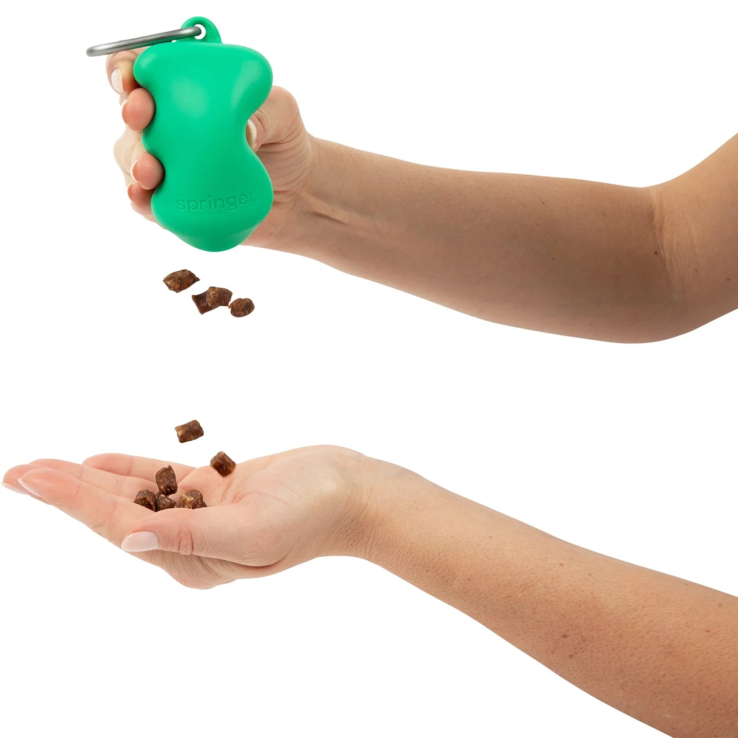 Silicone Dog Treat Dispenser - Springer Green