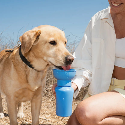Flip Dog Travel Bottle - Blueberry