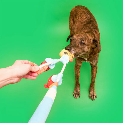 Fishing Nose Work & Tug Toy