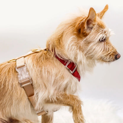 Dog Harness - Rosewood
