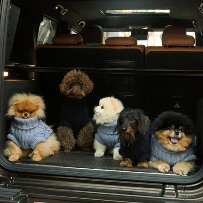 Bold - Bowie Blue 💙