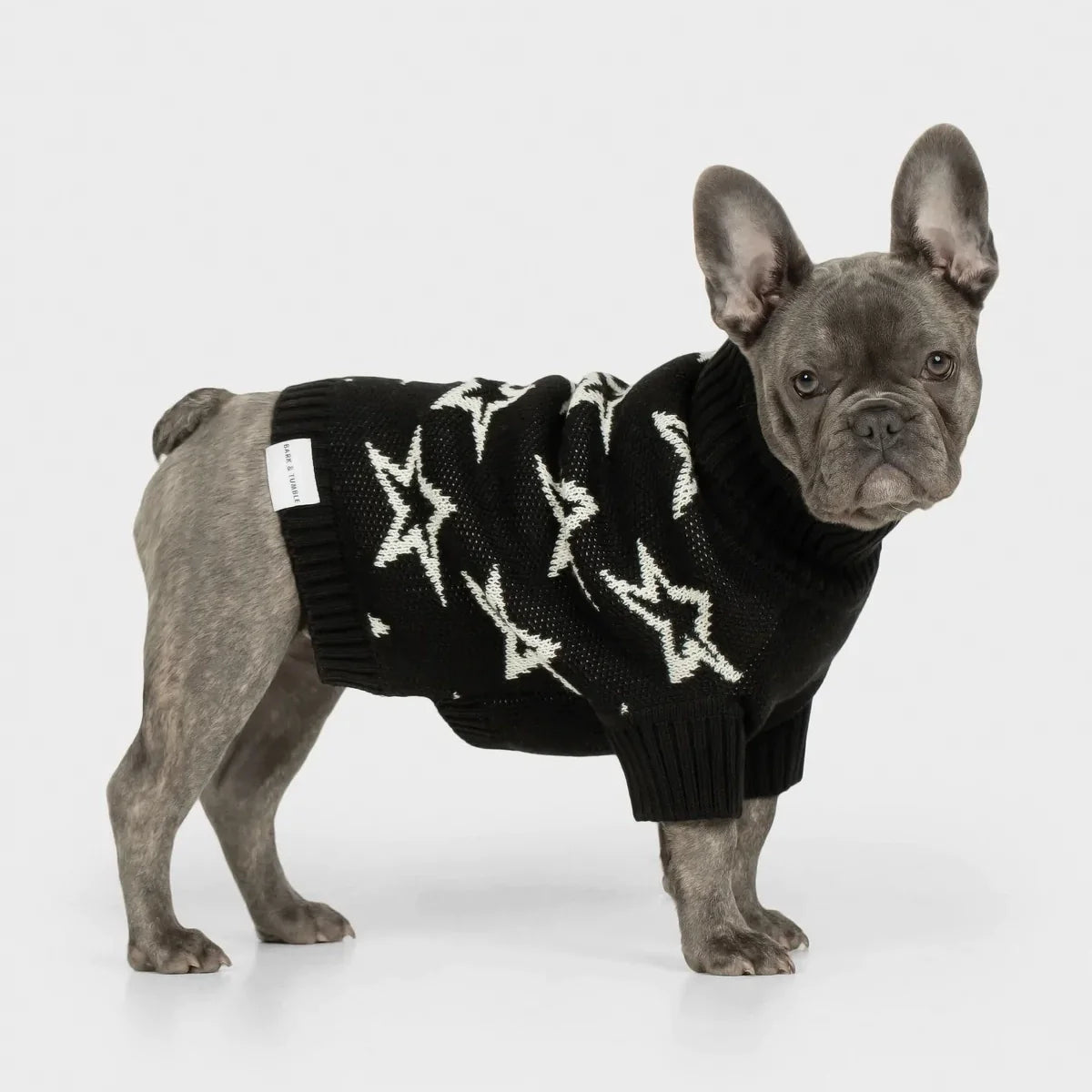 Shine Bright Sweater