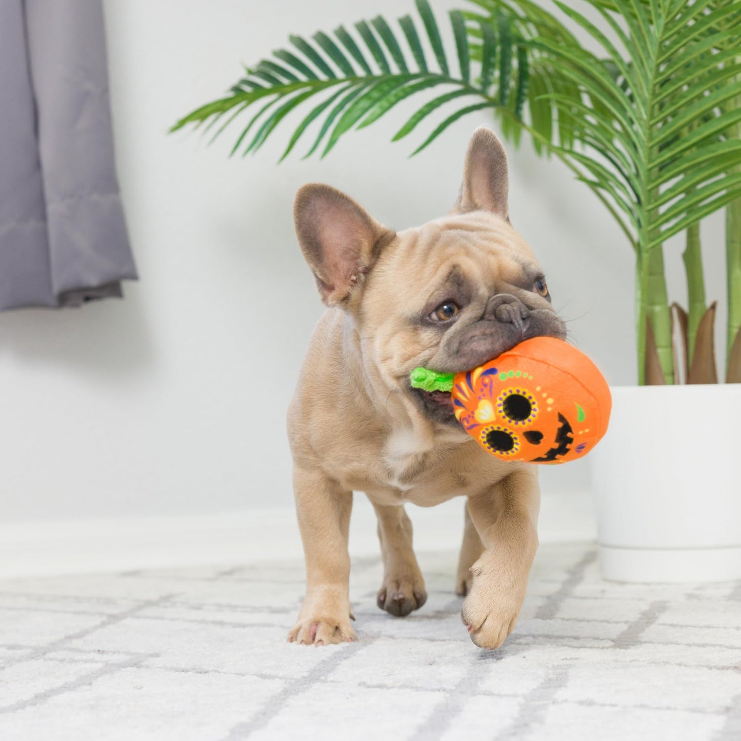 Tiny Halloween Treats | 2-pack