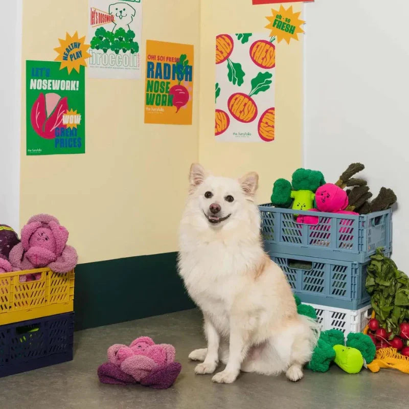 Broccoli Nosework Toy