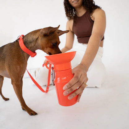 Travel Water Bottle - Poppy