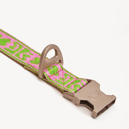 DL Collar - Green/Pink