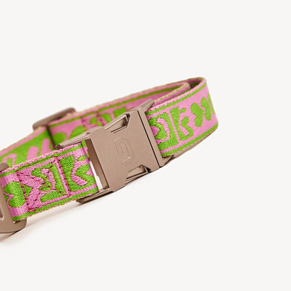 DL Collar - Green/Pink