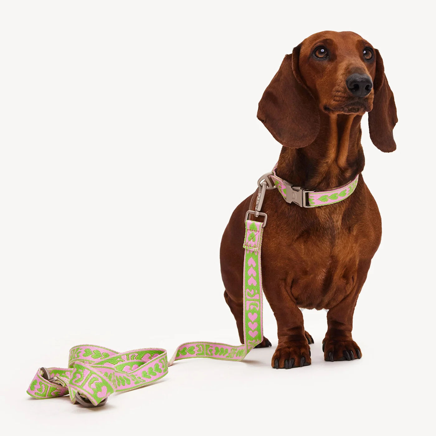 DL Leash - Green/Pink