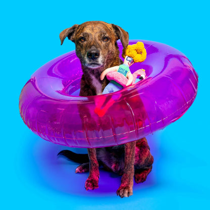 Hooman Nosework Toy - Flamingo