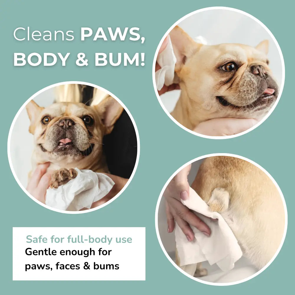 Bamboo Grooming Wipes | Travel Size (20 wipes)