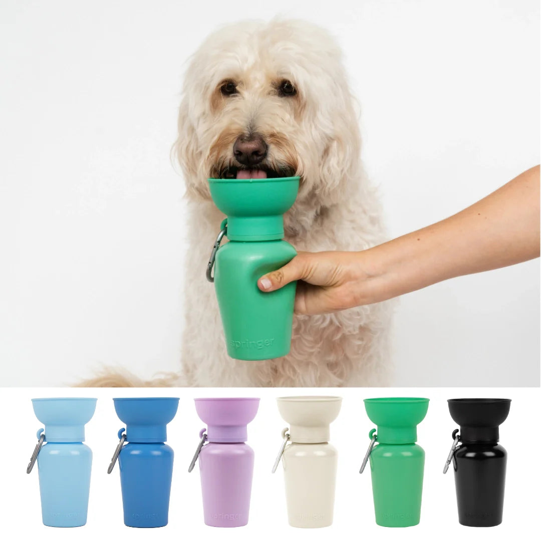 Flip Dog Travel Bottle - Springer Green