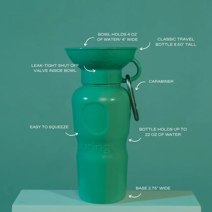 Travel Water Bottle - Springer Green