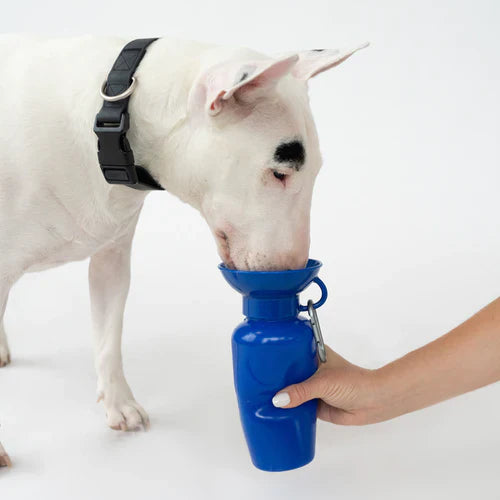 Travel Water Bottle - Indigo