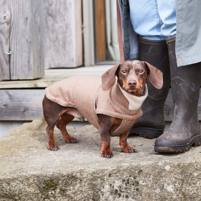 Cloud7 Brooklyn Flannel Coat DACHSHUND - Hazel