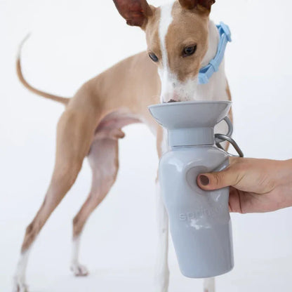 Travel Water Bottle - Grey