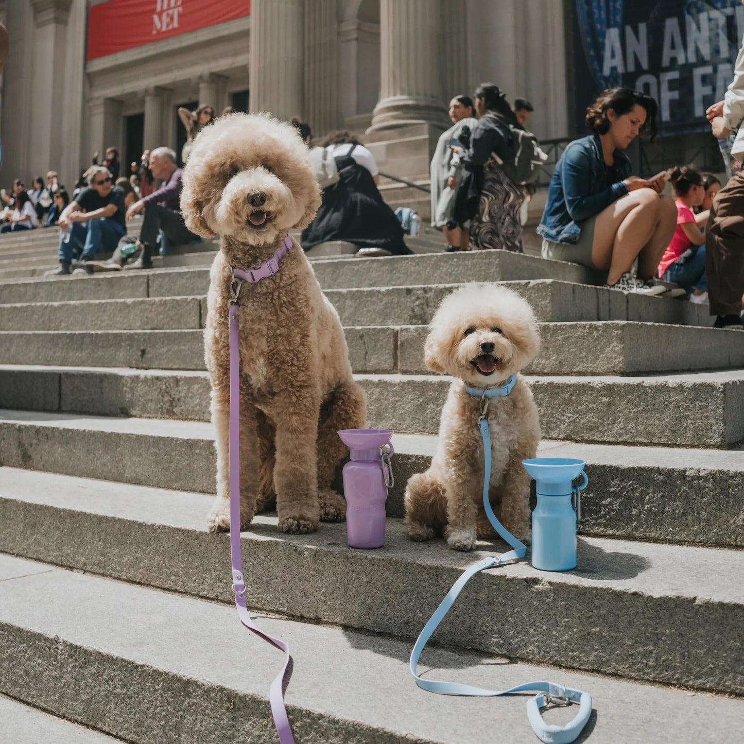 Travel Water Bottle - Sky Blue