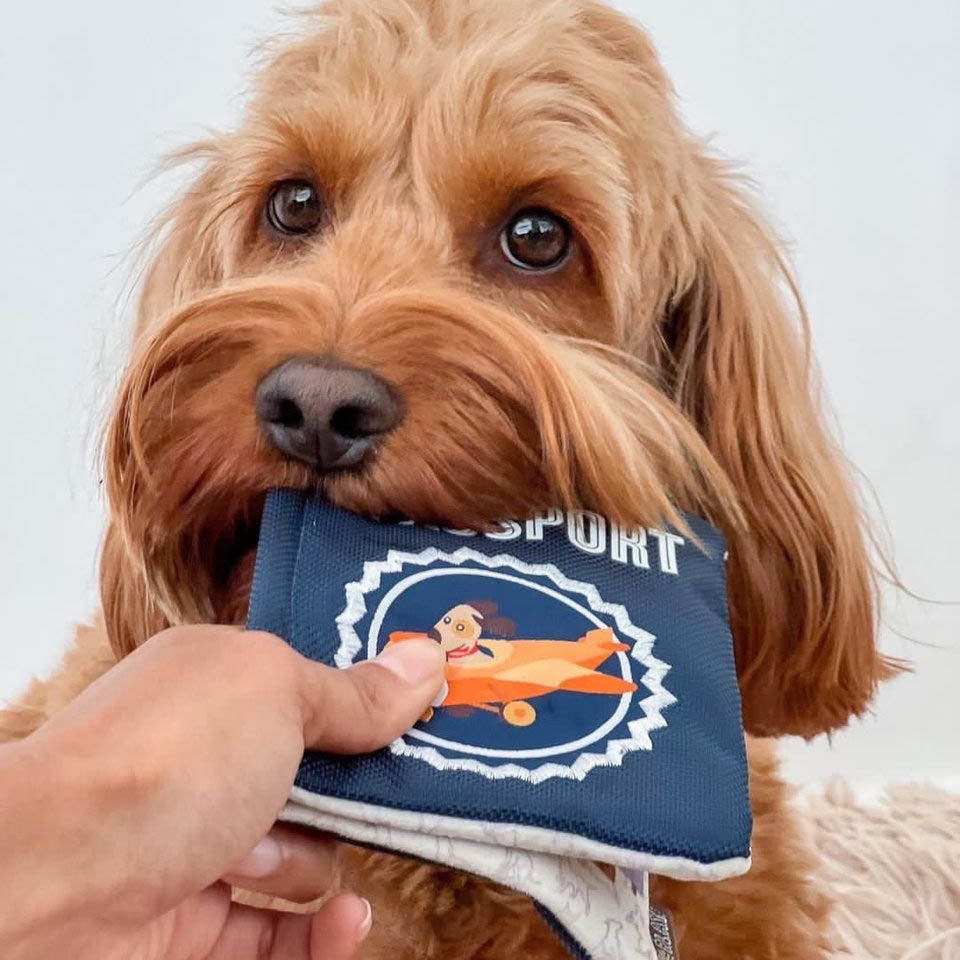 Globetrotter Pupster Passport