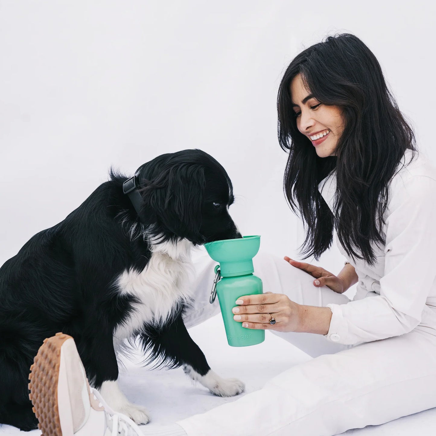 Flip Dog Travel Bottle - Springer Green