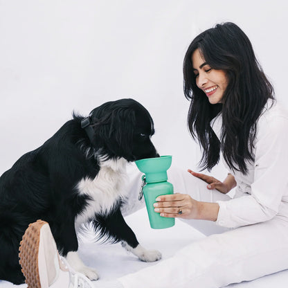 Flip Dog Travel Bottle - Springer Green