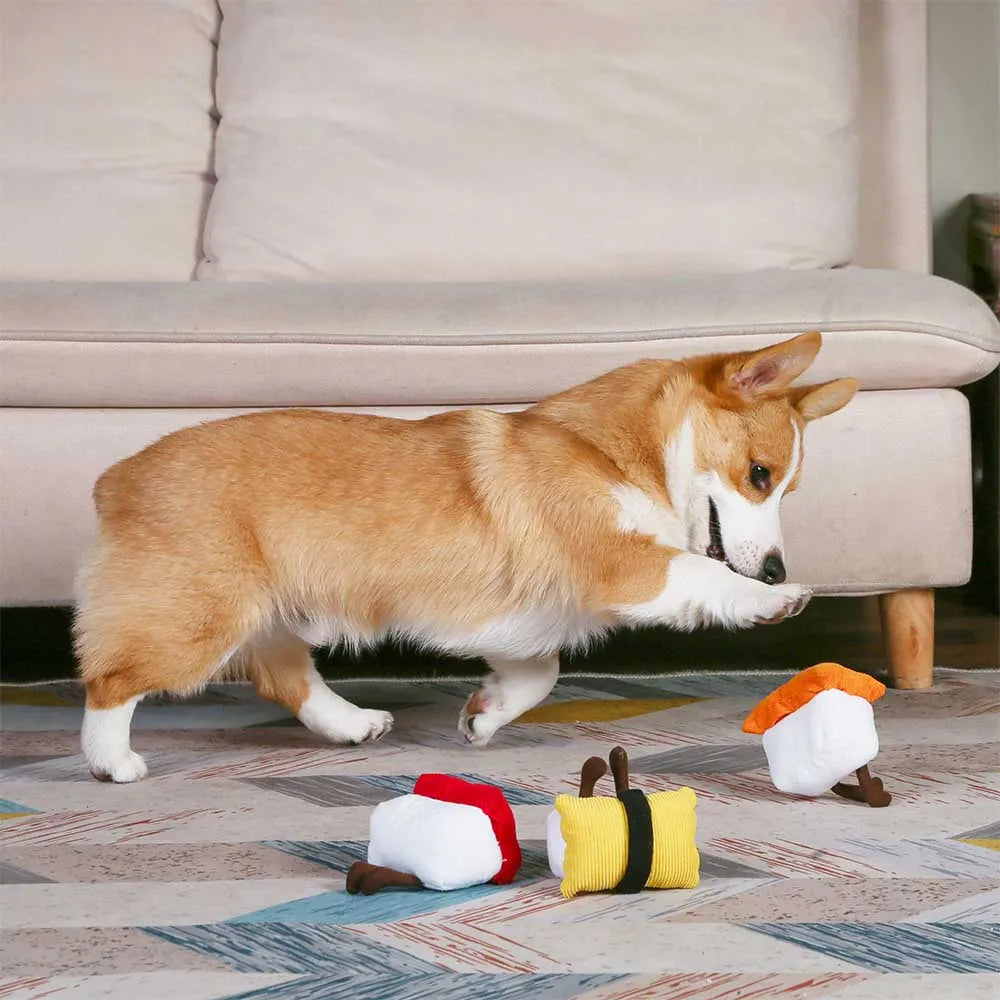 Foodie Sushi Set | 3-pack