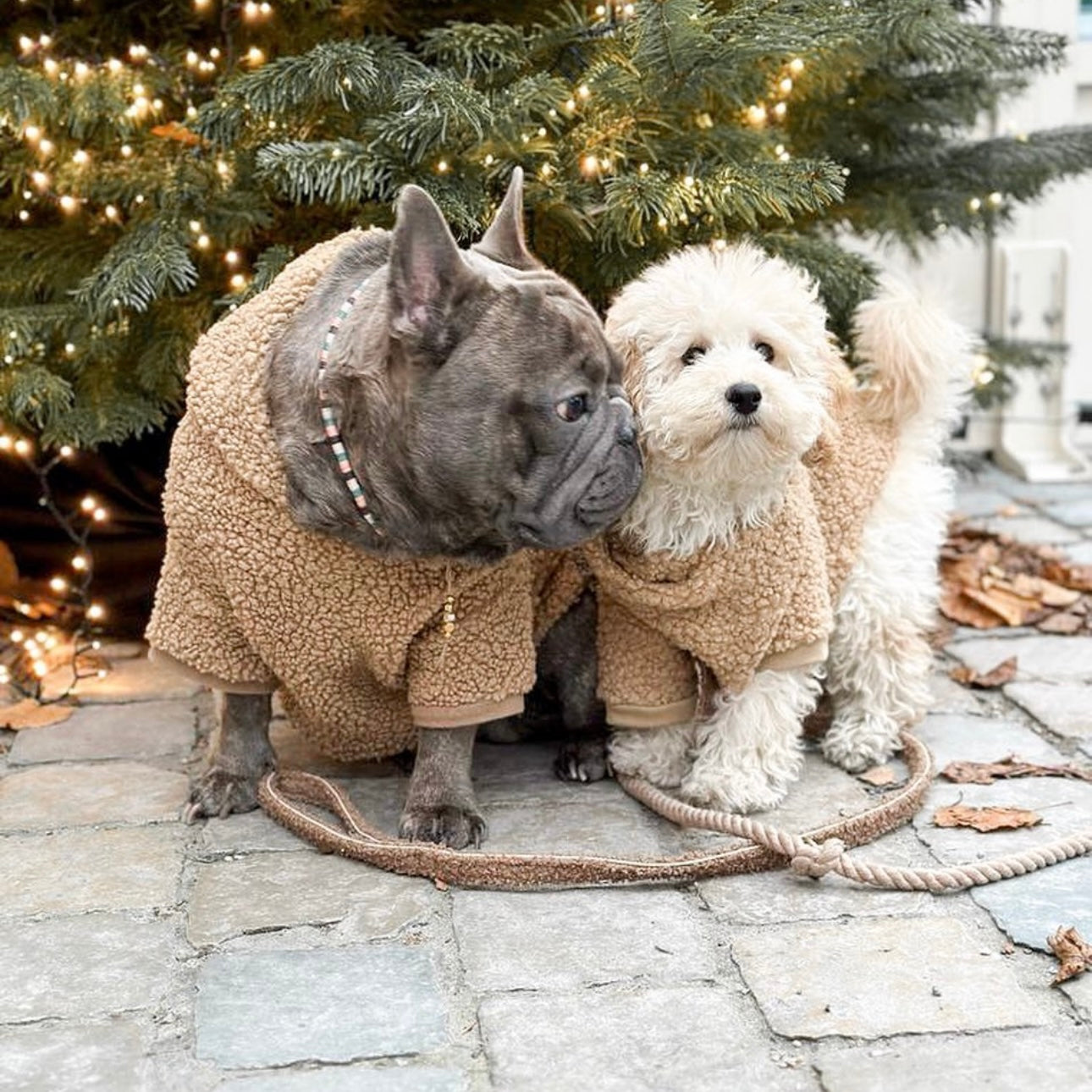 Dog Sweater - Camel Teddy