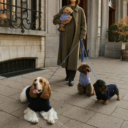 Bold - Bowie Blue 💙