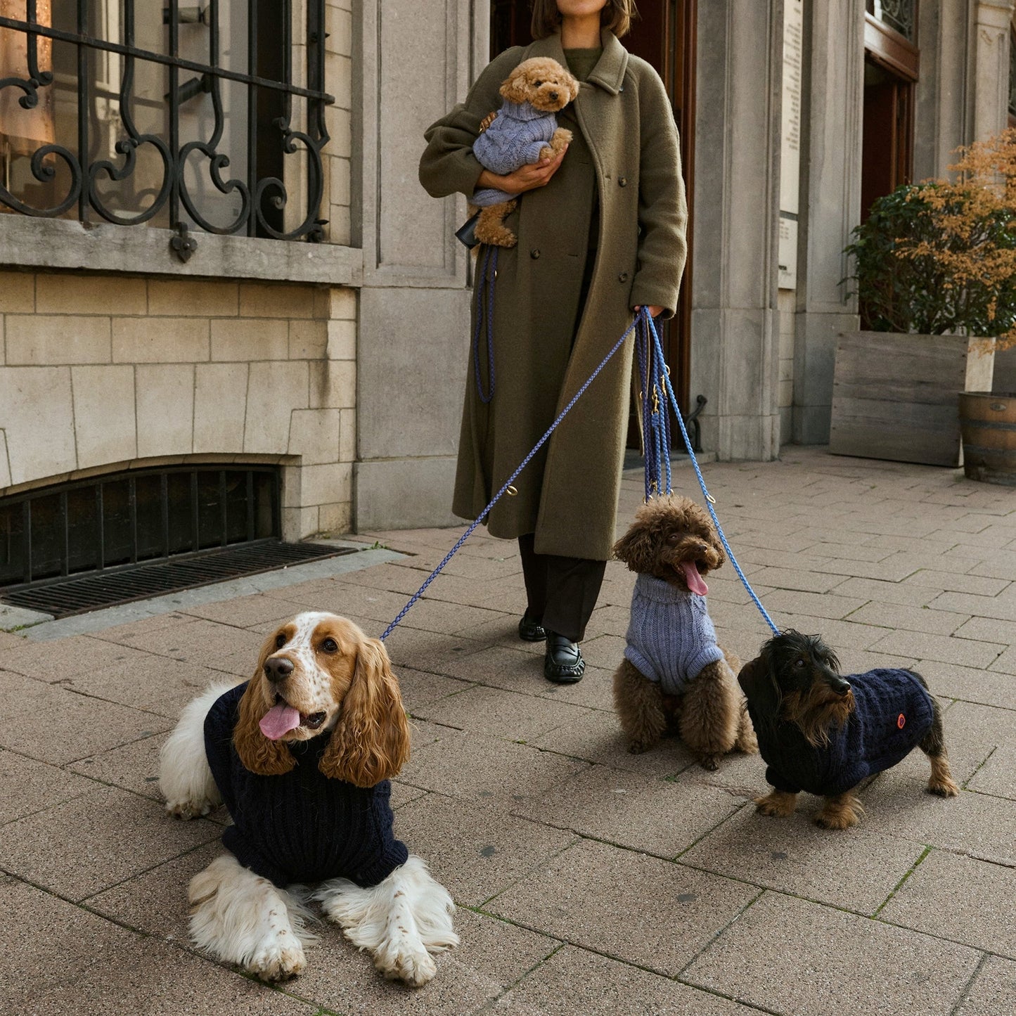 Bold - Chai Blue 🩵