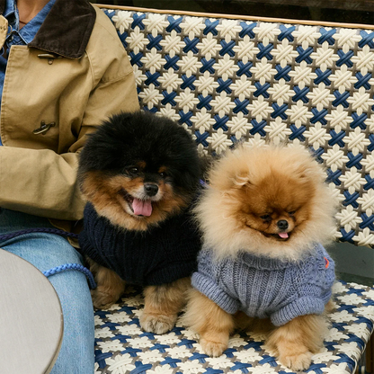 Bold - Chai Blue 🩵