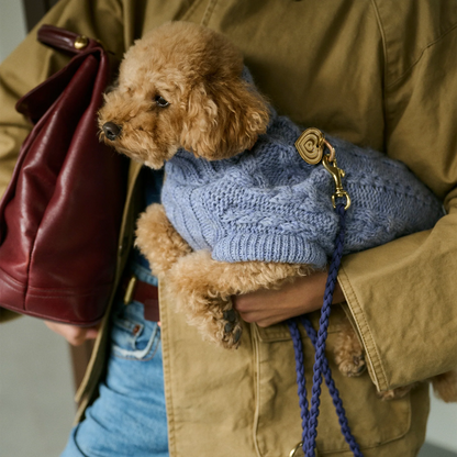 Bold - Chai Blue 🩵