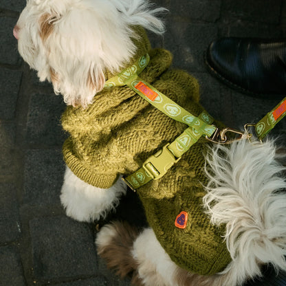 Bold - Honest John Green