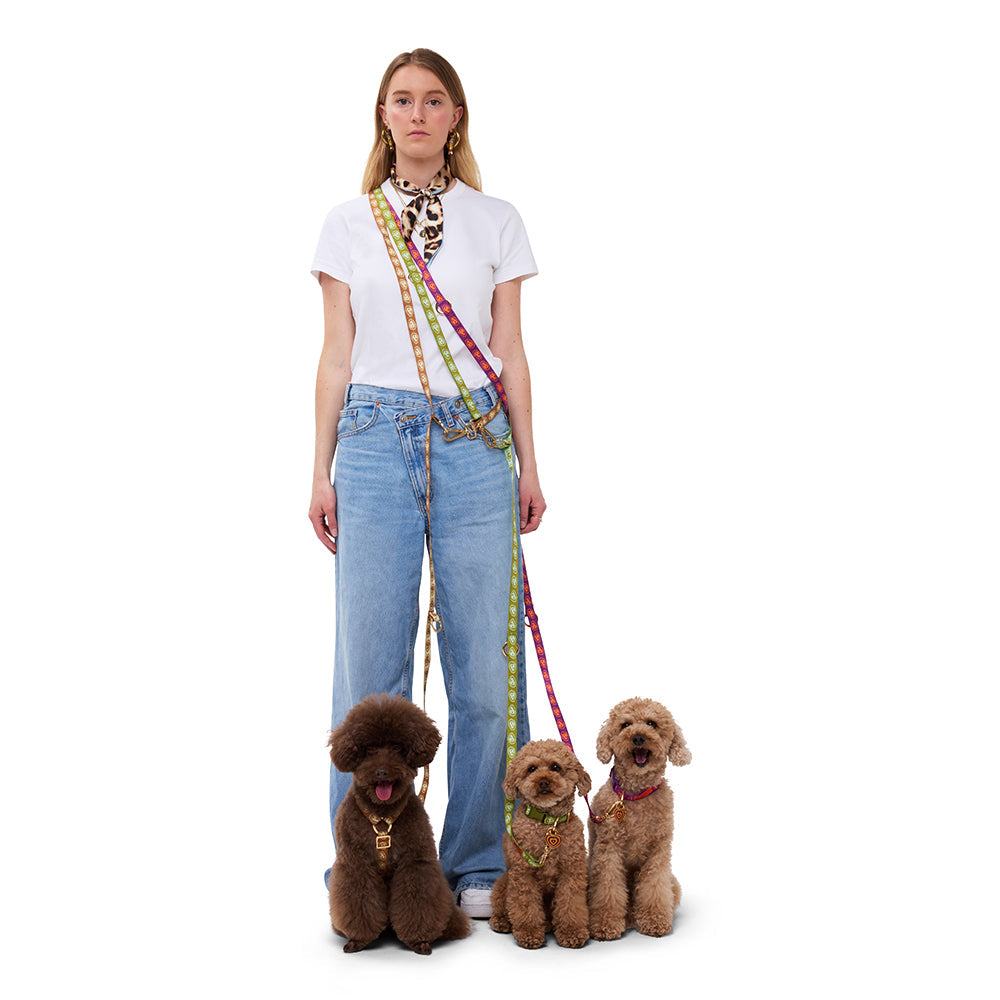 Collar - Furmey Orange