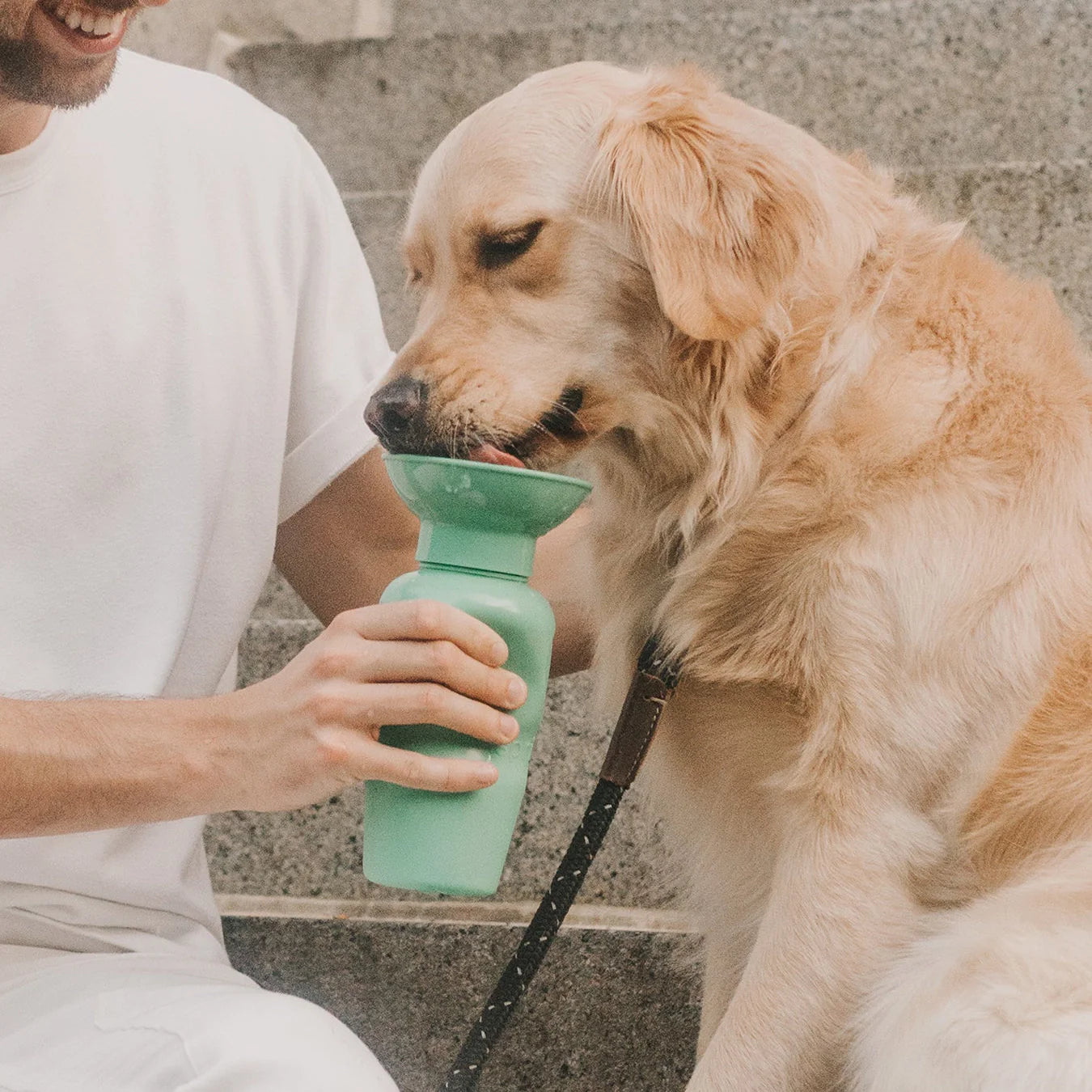 Travel Water Bottle - Springer Green
