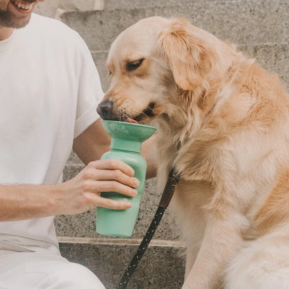 Travel Water Bottle - Springer Green