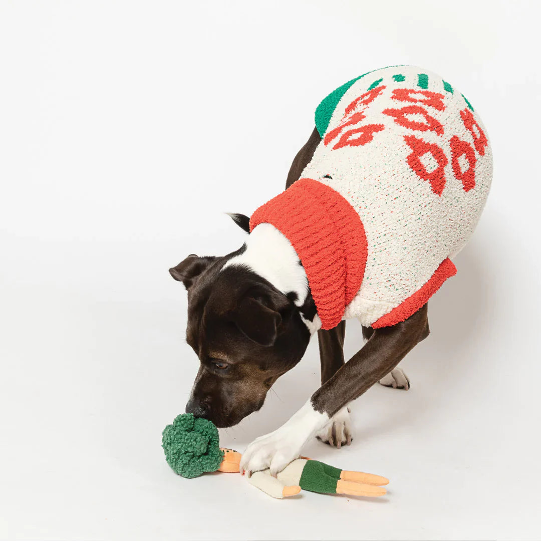 Hooman Nosework Toy - Flower