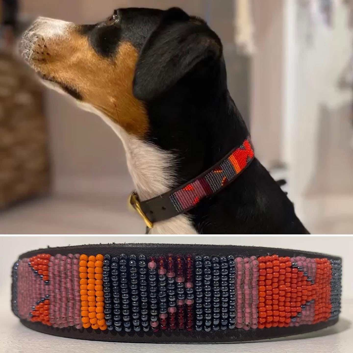 Beaded Dog Collar - Maya