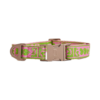 DL Collar - Green/Pink