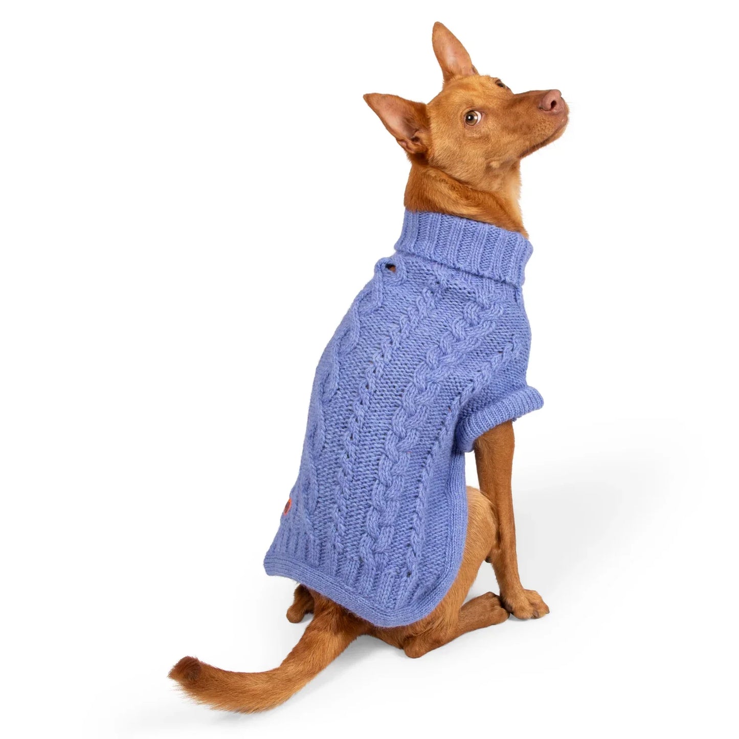 Bold - Wonderland Blue