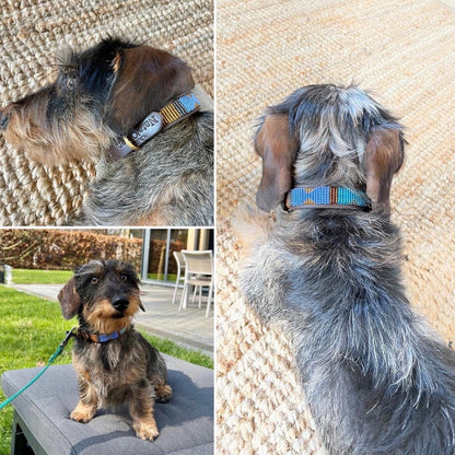 Beaded Dog Collar - Stitch