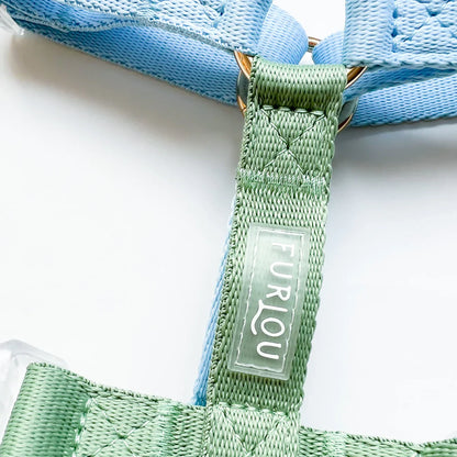 Dog Harness - Lake Day