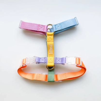 Dog Harness - Rainbow