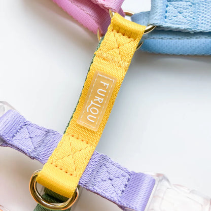 Dog Harness - Rainbow
